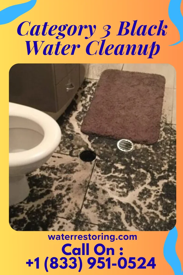 Category 3 Black Water Cleanup in Kimberly, ID